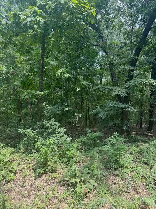 000 Private Road Cc-200, Alton, MO, 65606 | Card Image