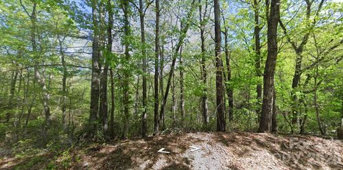 0 Buzzards Place, Lake Lure, NC, 28746 | Card Image
