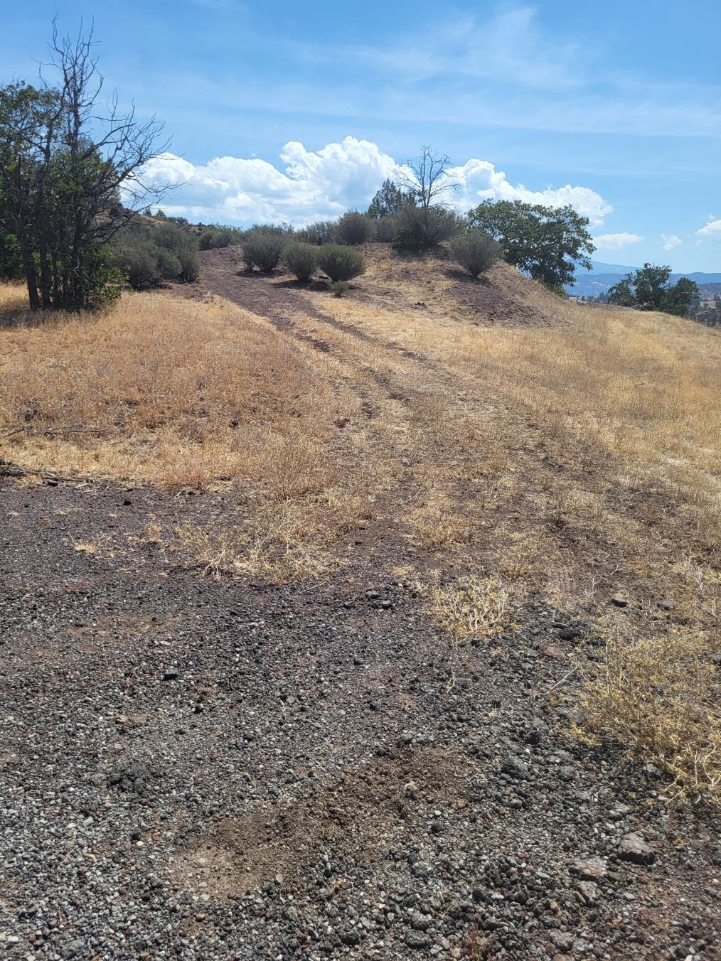 Land in Hornbrook 4
