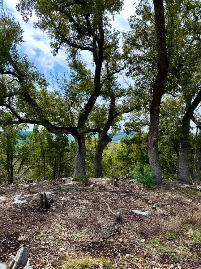 View of local wilderness | Image 6