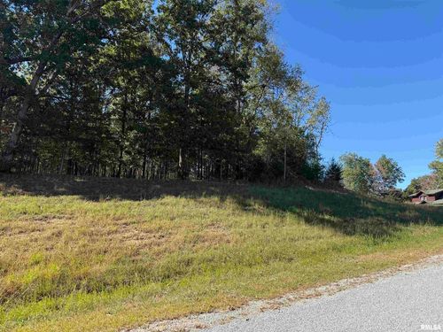 0000 Clifty Ln, Goreville, IL, 62939 | Card Image