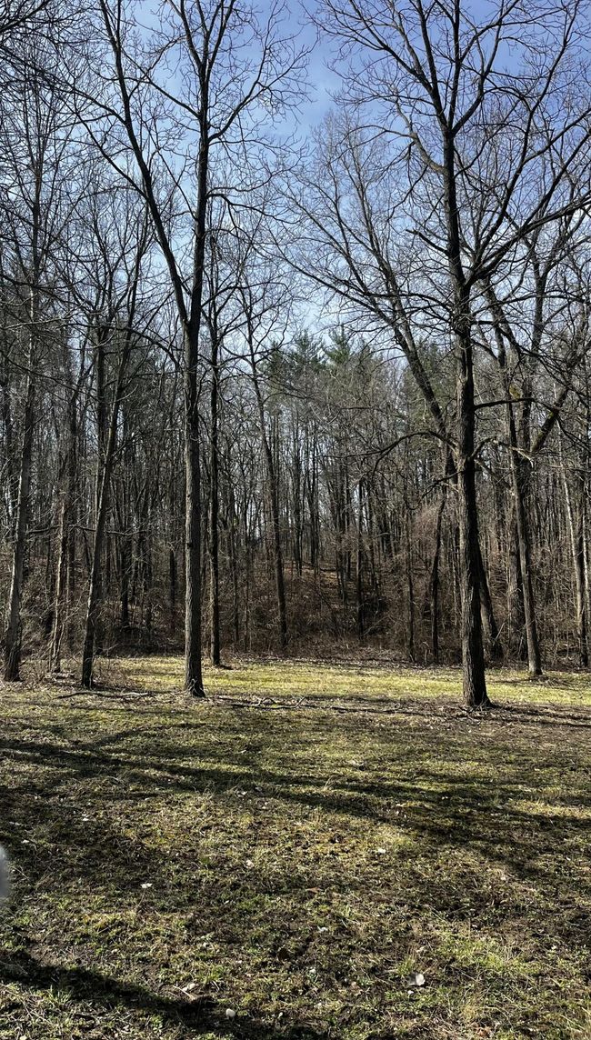 12100 Woodland Trl, Home with 0 bedrooms, 0 bathrooms and null parking in Davisburg MI | Image 29