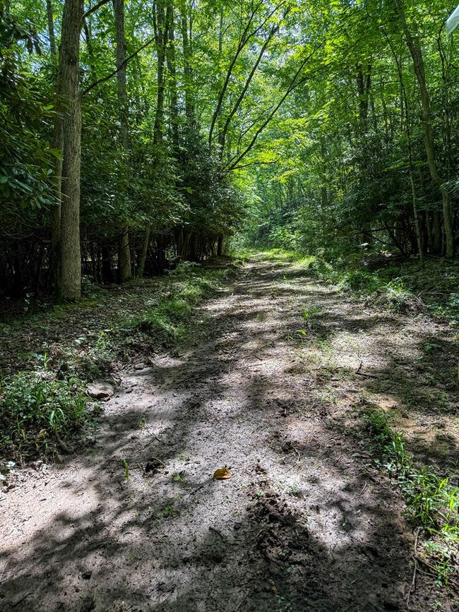 2486 Laurel Fork Rd, Home with 0 bedrooms, 0 bathrooms and null parking in Rocky Gap VA | Image 41