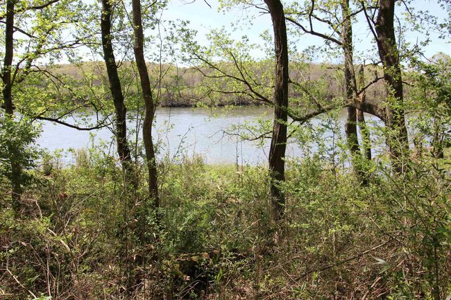 361 Rim Shoals Ln, House other with 2 bedrooms, 1 bathrooms and null parking in Mountain Home AR | Image 6