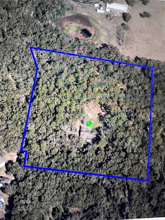 1728 Pine Ridge Dairy Road, Sold in Fruitland Park Zoocasa