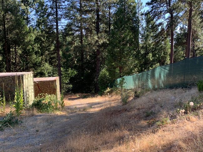 5727 Starkes Grade Rd, Home with 0 bedrooms, 0 bathrooms and null parking in Pollock Pines CA | Image 14