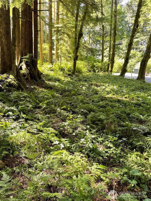 0 XXXXX N Shore Dr, Mount Vernon, WA, 98274 | Card Image