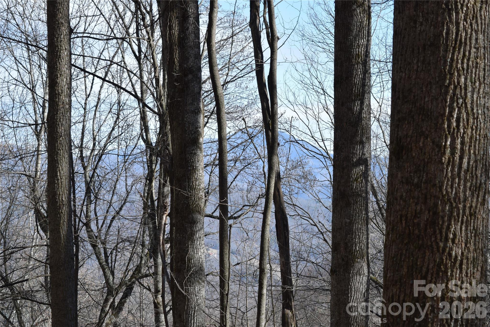 Land in Waynesville 2
