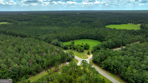 0 Ga Highway 169, Claxton, GA, 30417 | Card Image