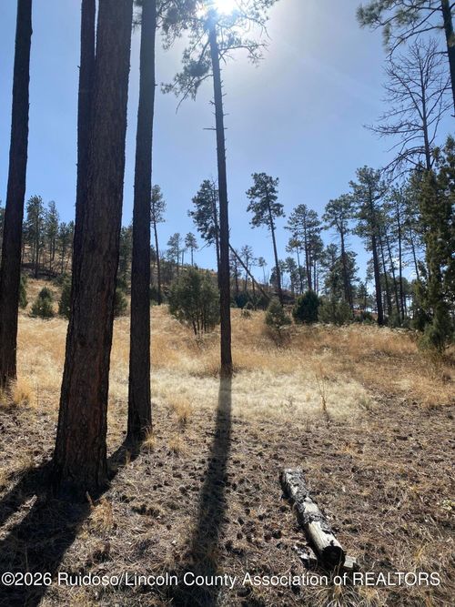 81 Chickadee Ct, Alto, NM, 88312 | Card Image