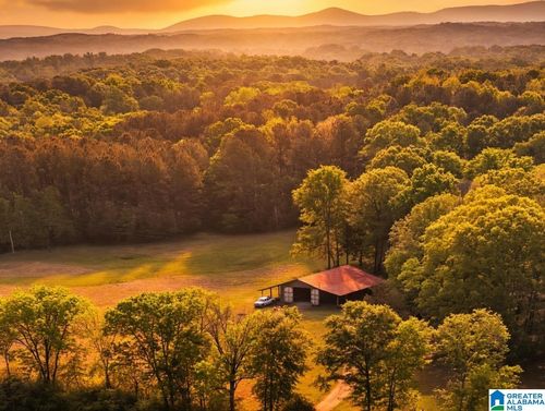 325 Grizzle Ln, TALLADEGA, AL, 35160-3941 | Card Image