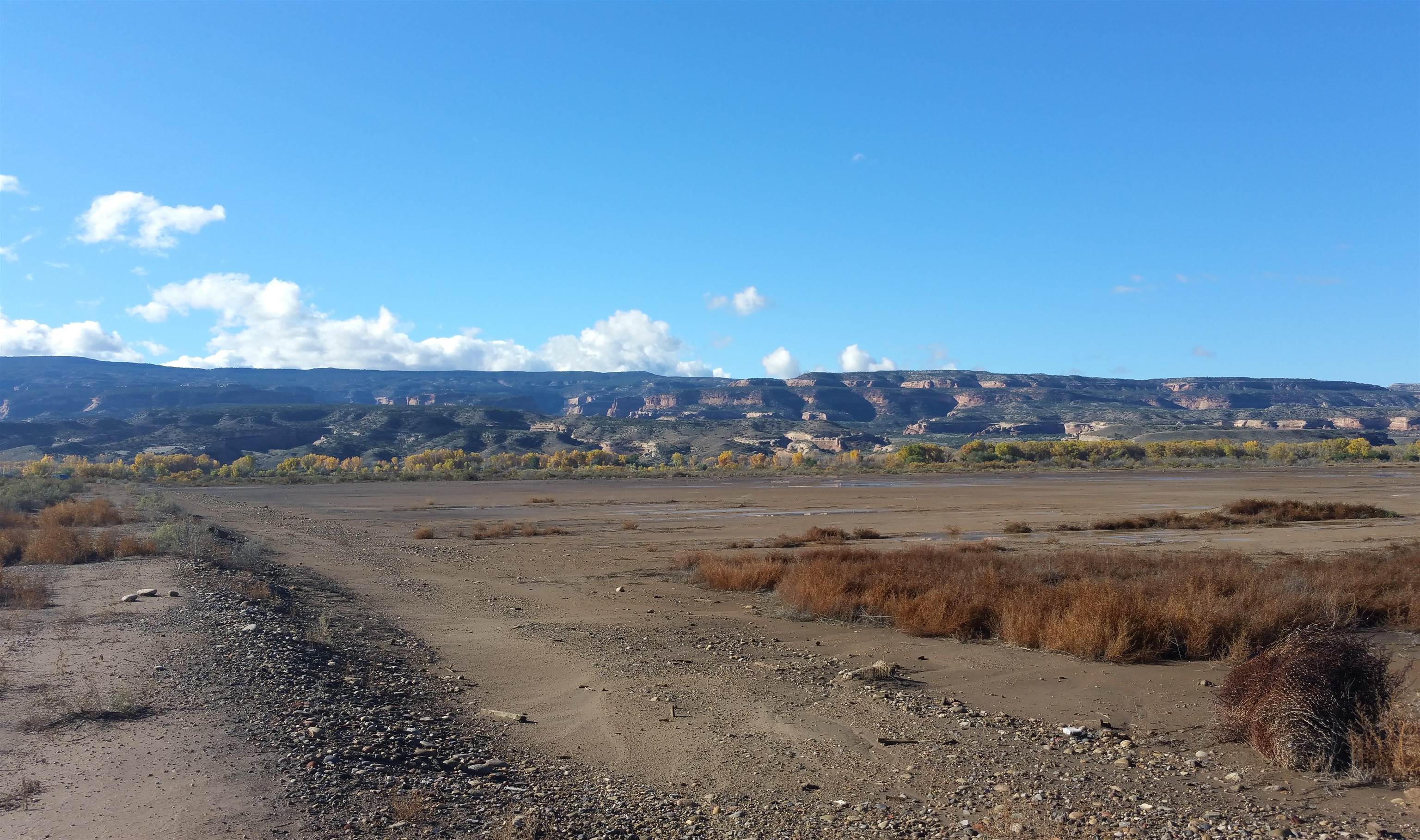 1165 15 Rd, Loma, CO 81524