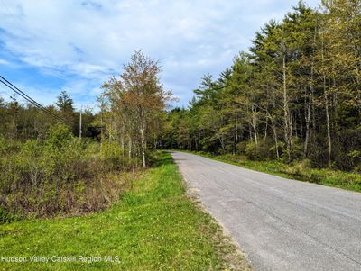 174 Diamond Road, Home with 0 bedrooms, 0 bathrooms and null parking in Ellenville NY | Image 3