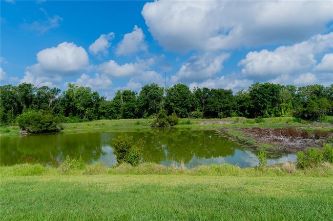 15101 Kestrelglen Way, House other with 4 bedrooms, 5 bathrooms and null parking in LITHIA FL | Image 72