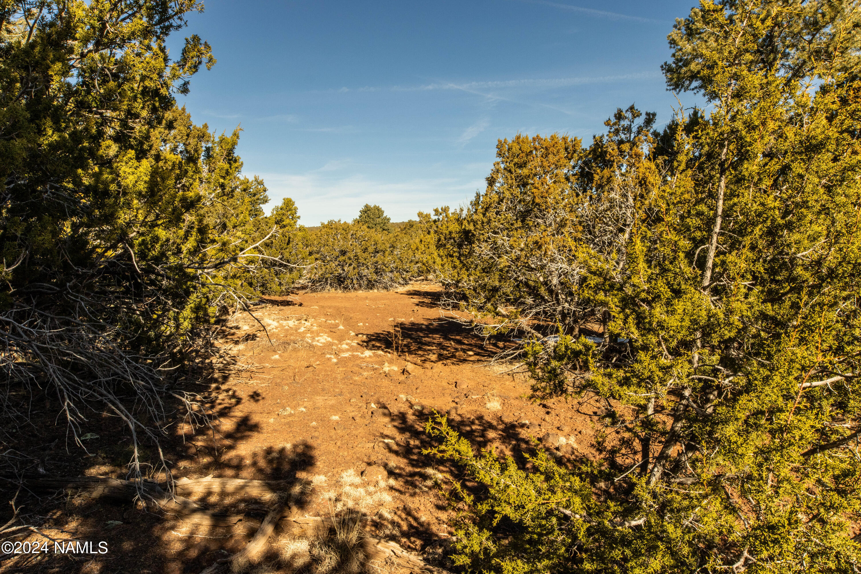 Land in Williams 3