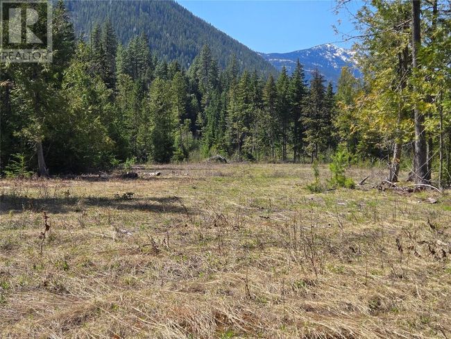 3809 Passmore Upper Rd, Home with 0 bedrooms, 0 bathrooms and null parking in Passmore BC | Image 16