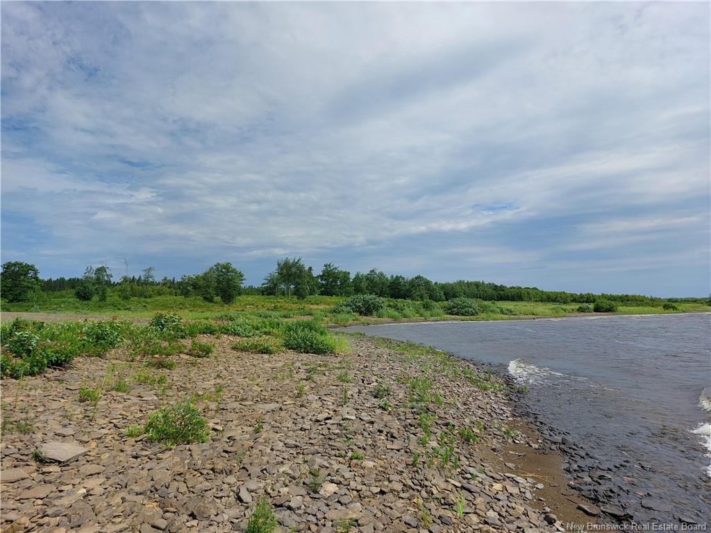 Land in Newcastle Creek 3