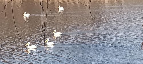 N4568 County Rd N, ARKANSAW, WI, 54721-9328 | Card Image