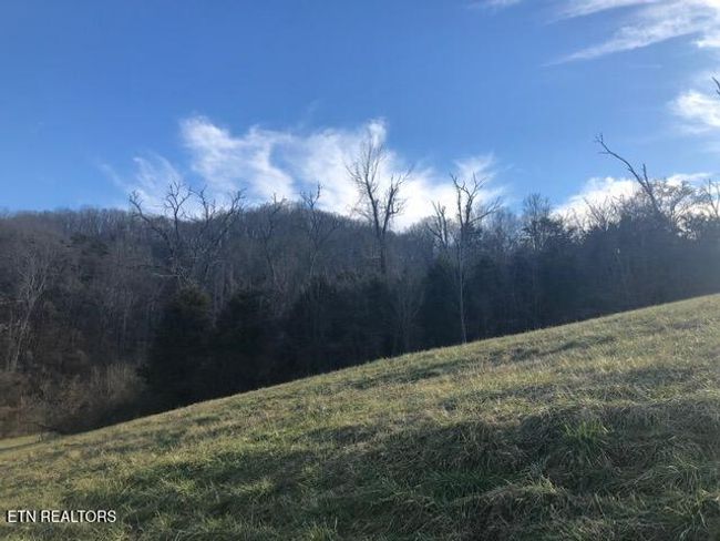 321 Russell Brothers Rd, Home with 0 bedrooms, 0 bathrooms and null parking in Sharps Chapel TN | Image 25