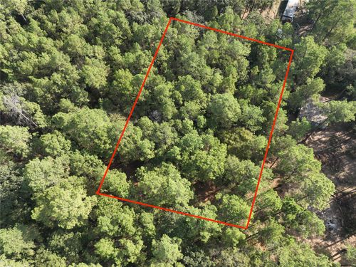 TBD Tallowood Dr, Plantersville, TX, 77363 | Card Image