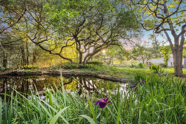 Sunset view of the pond that is surrounded by lilies and live oak trees. | Image 36