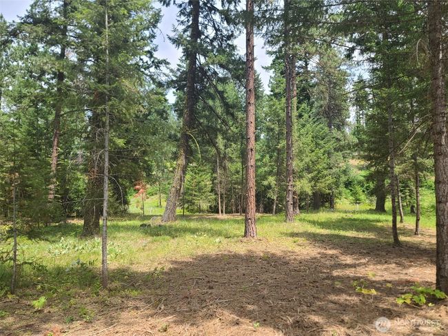 53 Wanawish Loop, Home with 0 bedrooms, 0 bathrooms and null parking in Cle Elum WA | Image 4