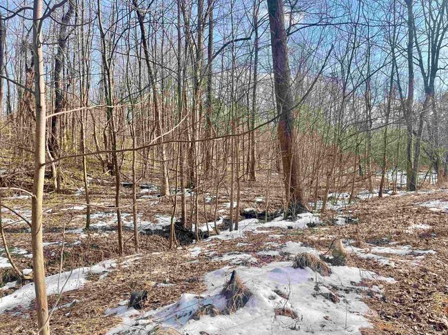 11300 Fuller Rd, Home with 0 bedrooms, 0 bathrooms and null parking in Gentryville IN | Image 21