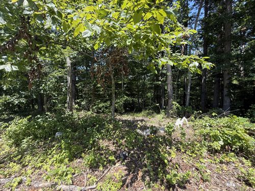 0 Trailwood Ct, Joelton, TN, 37080 | Card Image
