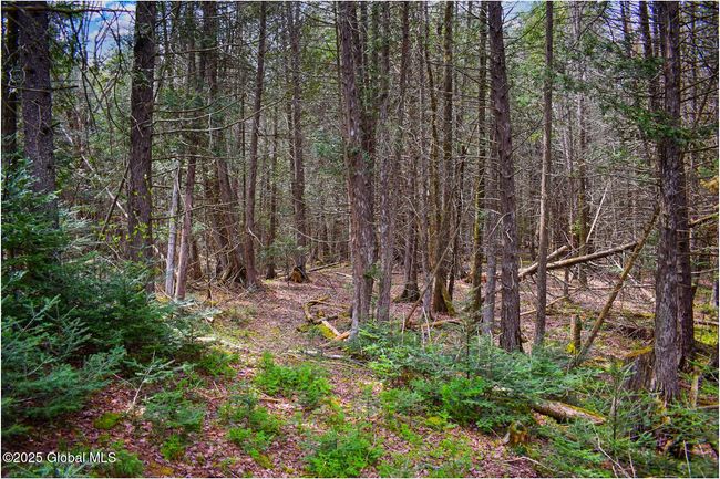 152 Sweenie Fields Rd, House other with 3 bedrooms, 3 bathrooms and 12 parking in Schroon Lake NY | Image 72