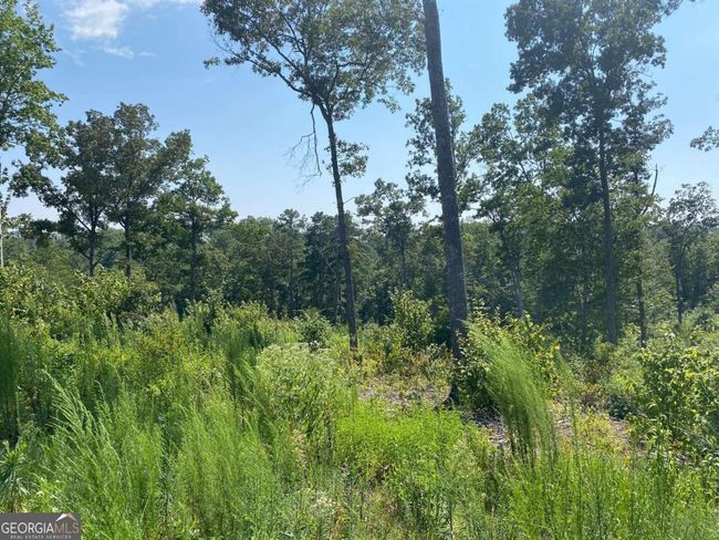 0 Woodstone Trail, Home with 0 bedrooms, 0 bathrooms and null parking in Ellijay GA | Image 25