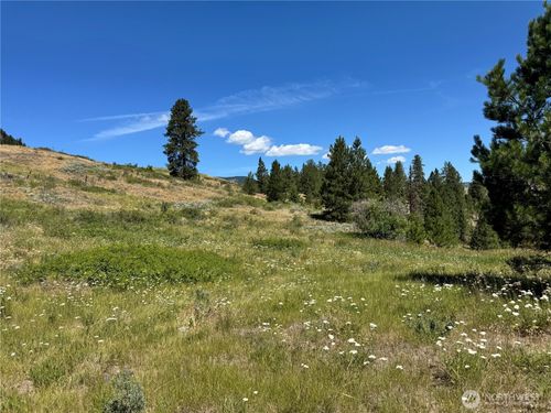 1 Lundimo Meadows Rd, Curlew, WA, 99118-9608 | Card Image