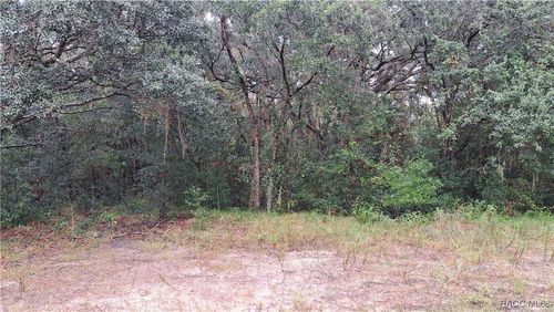 289 N Highview Ave, HERNANDO, FL, 34442-4815 | Card Image