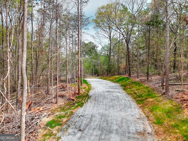 0 Falcon Ln, Home with 0 bedrooms, 0 bathrooms and null parking in Carnesville GA | Image 9