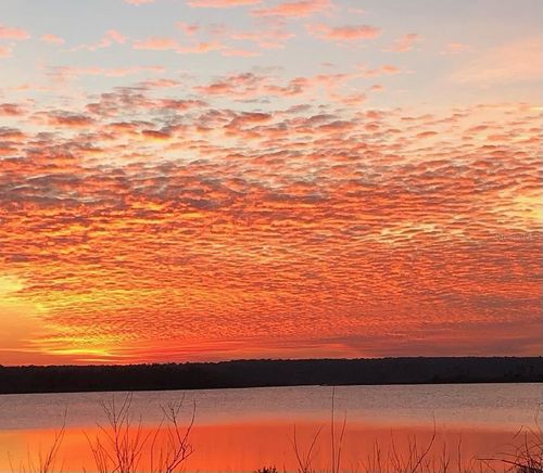 23797 Ne 189th St, FORT MC COY, FL, 32134-7084 | Card Image