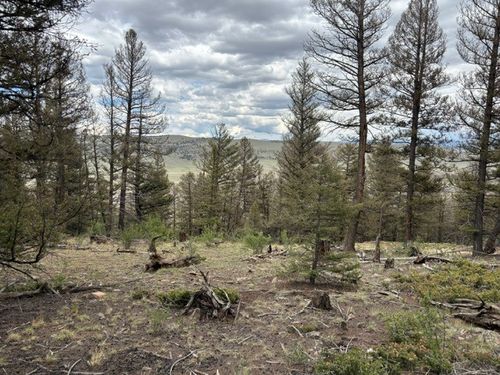 TBD Middle Fork Vis, FAIRPLAY, CO, 80440 | Card Image