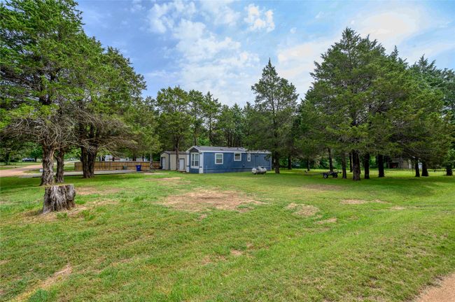 View of grassy yard | Image 16