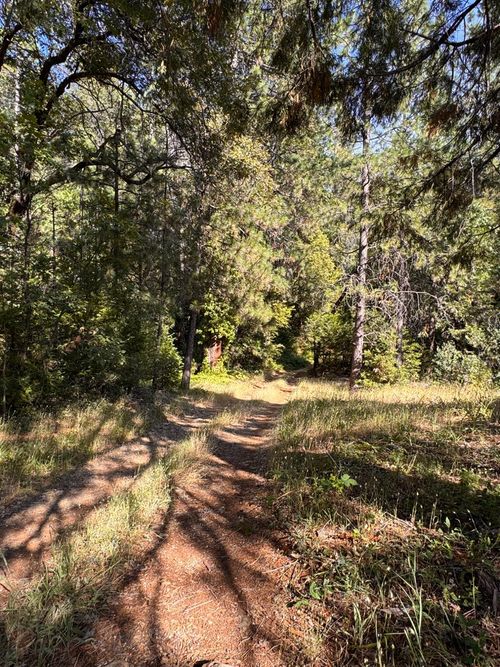 16492 Indiana Ranch Road, Dobbins, CA, 95935 | Card Image