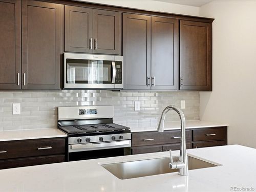 1606 Nathan River Dr, Windsor, CO, 80550-4061 | Card Image