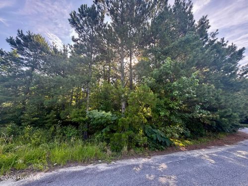 18-285 Dodge Point Dr, Pinetops, NC, 27864-9791 | Card Image
