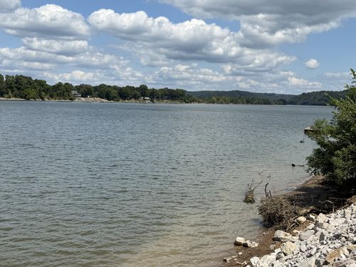 705 River Front Dr, Clifton, TN, 38425-1008 | Card Image