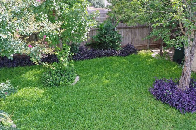 View of yard | Image 35