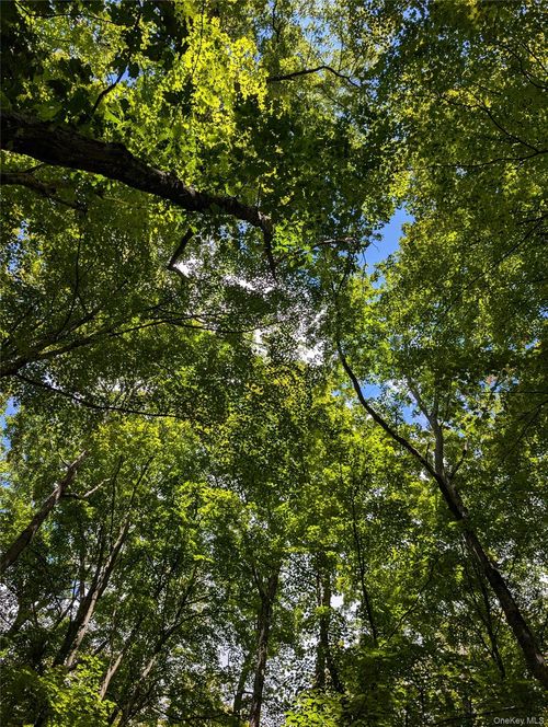 333 County Route 27, Ancram, NY, 12502-5059 | Card Image