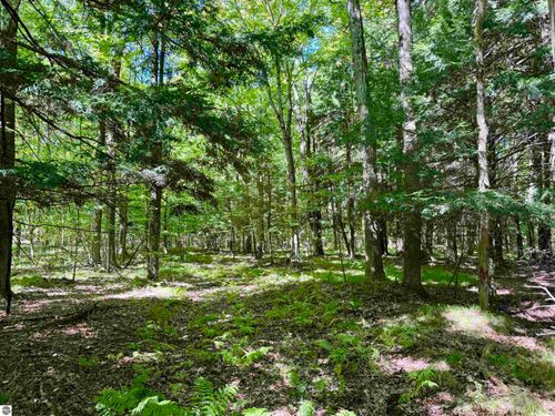 V/L 180th Ave, Stanwood, MI, 49346 | Card Image