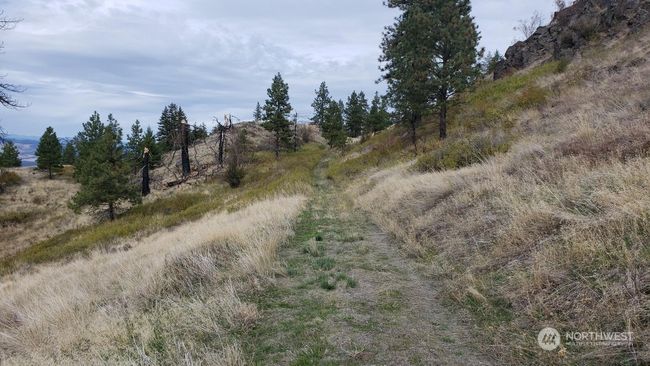4100 Bissell Rd, Home with 0 bedrooms, 0 bathrooms and null parking in Hunters WA | Image 8
