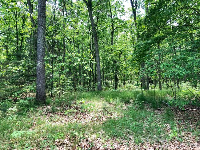 699 E White Lake Dr, House other with 3 bedrooms, 1 bathrooms and null parking in Twin Lake MI | Image 16