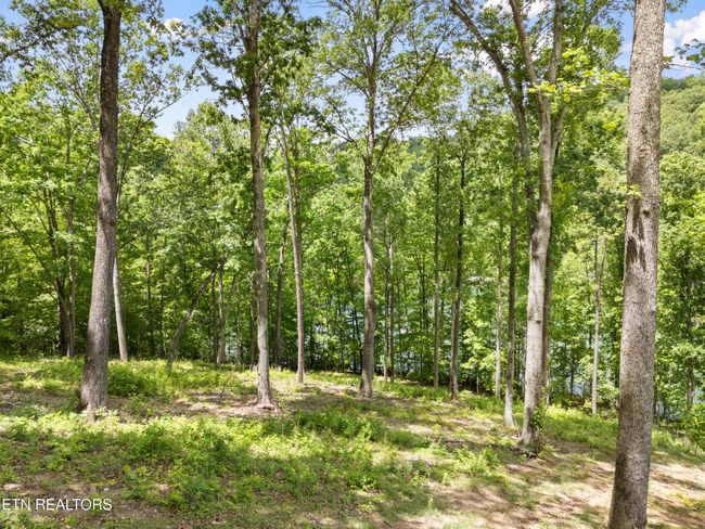 6 Shanghai Landing Ln, Home with 0 bedrooms, 0 bathrooms and null parking in La Follette TN | Image 14