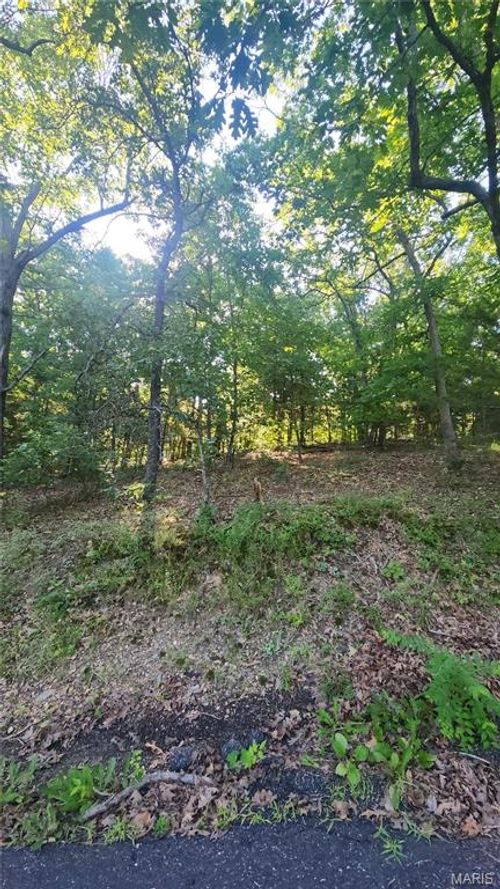 lot 14 E Forest Ln, Owensville, MO, 65066 | Card Image