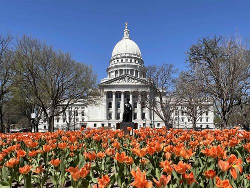 311-123 W Washington Ave, Madison, WI, 53703-2785 | Card Image