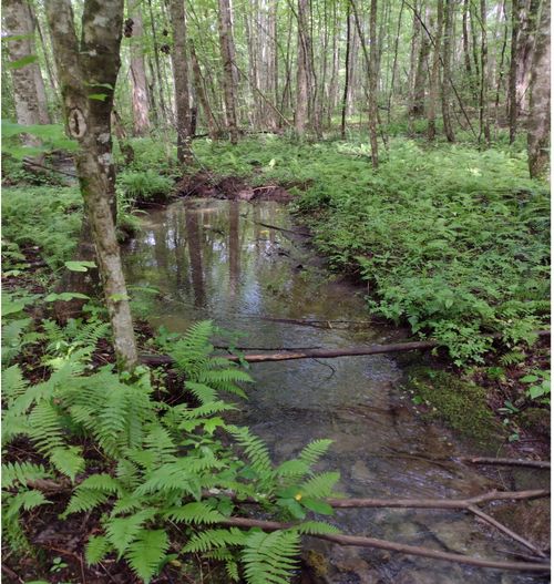 1232 Main St, Tracy City, TN, 37387-4062 | Card Image