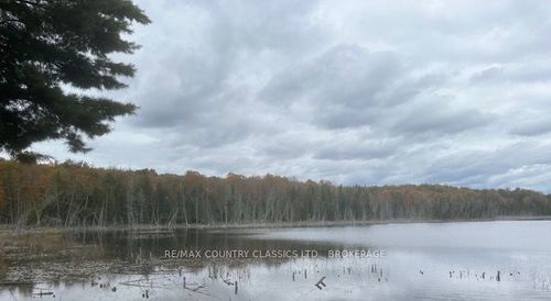 Lt 1, PL 1839 Bull Lake Road, Frontenac, ON, K0H1B0 | Card Image